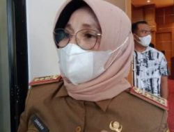 Pekan Ini Nur Endang Abbas Dilantik Jadi Widyaiswara