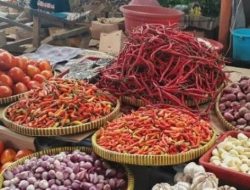 2 Pekan Jelang Lebaran, Harga Kebutuhan Pokok di Pasar Tradisional Kendari Masih Normal