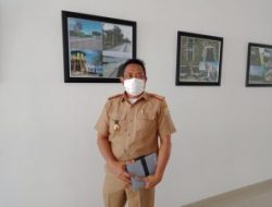 Seluruh OPD Pemprov Bakal Dilibatkan Tanam Pohon Sepanjang Jalan Kendari-Toronipa