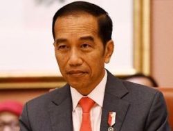 Presiden Jokowi Dijadwalkan Lepasliar Hewan Endemik Sultra di Taman Nasional Rawa Aopa