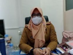 BKD Sultra Sedang Verifikasi Berkas Fisik CASN