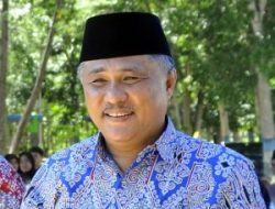 Konawe Kembangkan Peternakan Babi
