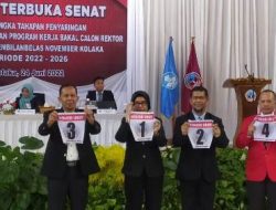 Hasil Pemilihan Senat, 3 Calrek Terpilih, Prof Ruslin Raih Suara Terbanyak