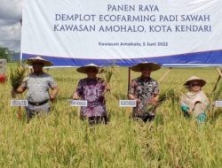 Sulkarnain Bangga Petani Amohalo Sukses Terapkan Pola Tanam Organik