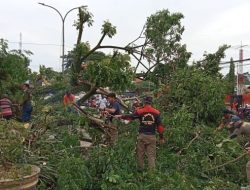 Satgas Penataan Kota Memasuki Wilayah Baruga