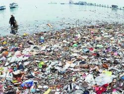 Pemkot Diminta Bersihkan Sampah di Teluk Kendari