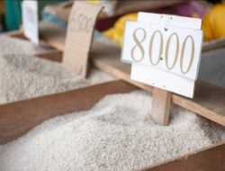 Intervensi Harga Beras, Bulog Siapkan 480 Ton Beras untuk Menyambut Ramadan