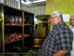 Gubernur Ali Mazi Dorong Produksi Ikan Asap Tuna hingga ke Luar Negeri