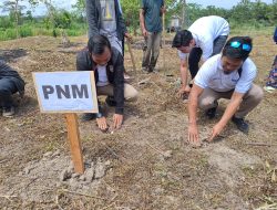 Dukung Petani Indonesia, PNM Kendari Beri 10.000 Bibit Unggul