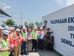 Perdana, Sultra Ekspor Biji Pinang ke Negara Iran
