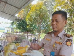 Karantina Hewan Lakukan Pemeriksaan Dokumen dan Kesehatan Burung Falk