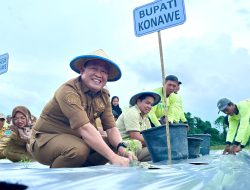 Pj Bupati Konawe Tanam Cabai Serentak di Desa Nario Indah