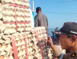 Harga Telur Meroket, Karantina Sultra Pastikan Telur Ayam Kiriman dari Sulsel Bebas HPHK