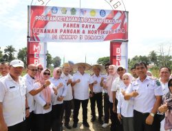Harmin Ramba Dampingi Pj Gubernur Panen Tanaman Pangan dan Hortikultura di Wawotobi