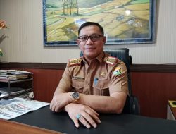 Kasus DBD di RSUD Bahteramas Menurun Signifikan