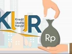 Realisasi Penyaluran UMi dan KUR Tumbuh Positif di Sultra