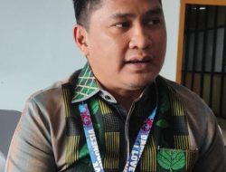 HUT Sultra ke-61 Diwarnai Festival UMKM dan Ekonomi Kreatif di Kolaka