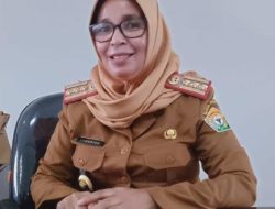 Pemprov Sultra Resmi Hentikan Perekrutan Tenaga Honorer Mulai Tahun 2025