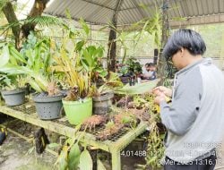 Kebun Raya UHO Terima Koleksi Tumbuhan Endemik Sulawesi