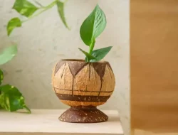 Dari Tempurung Jadi Karya Seni di Tangan Warga Tomia