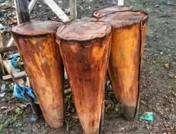 O’Basu: Anyaman Tolaki dari Pelepah Sagu