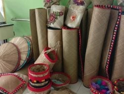 Proses Pembuatan Anyaman Sorume dari Anggrek Hutan Langka