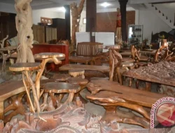Seni Gembol Jati dari Muna: Keanggunan Akar Tua Bernilai Tinggi