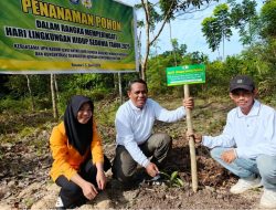 Terus Berbenah, Kebun Raya UHO Menuju Pusat Konservasi Pohon Endemik Kalapi Masa Depan