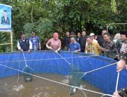 Pemkot Kendari Panen Ikan 180 Kilo Hasil Budidaya Sistem Bioflok