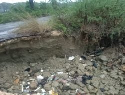 Pesisir Kota Raha Longsor dan Terancam Tenggelam akibat Abrasi