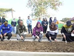 Pemkot Luncurkan Program Kendari Berkebun, Ini Sasarannya