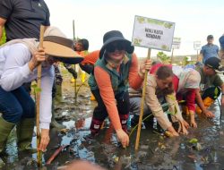 Pemkot Kendari Tanam 500 Mangrove di Pesisir Bungkutoko